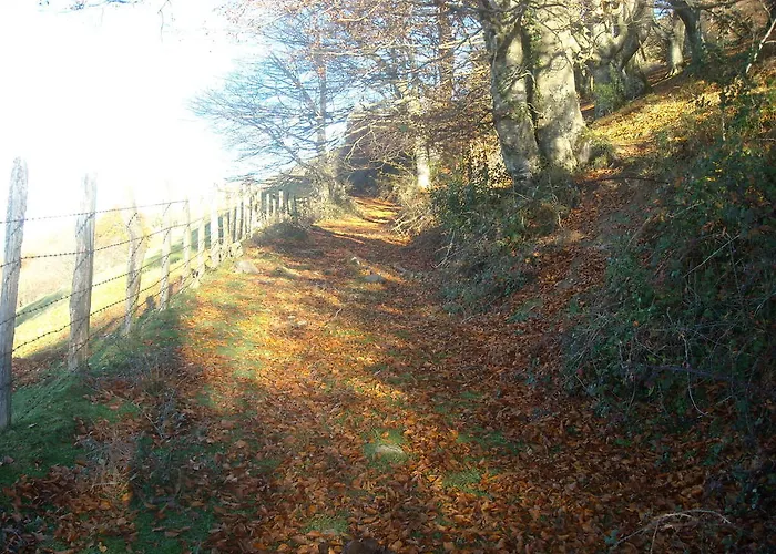 Pensión Goiko-benta Ostatua Oñate